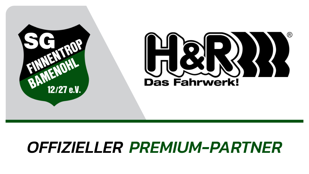 Logo-H&R Das Fahrwerk